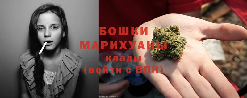 Шишки марихуана White Widow  продажа наркотиков  Высоковск 